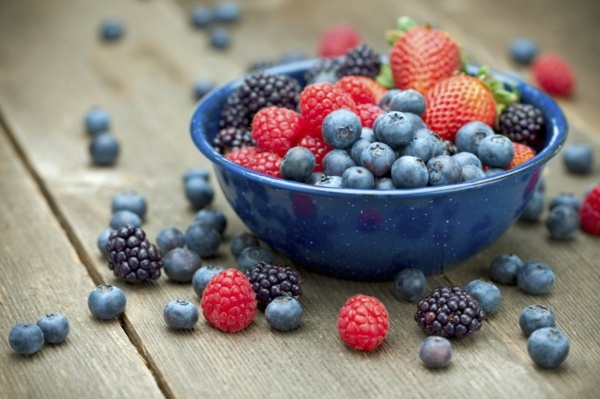 Dieta Açaí Berries Antioxidantes Frutas América do Sul