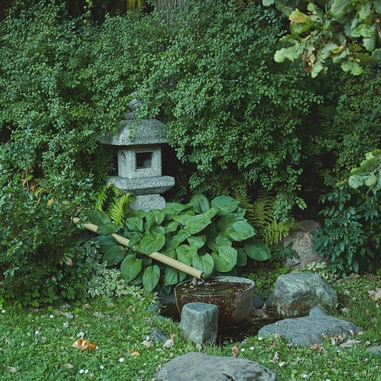 recurso de água do jardim japonês