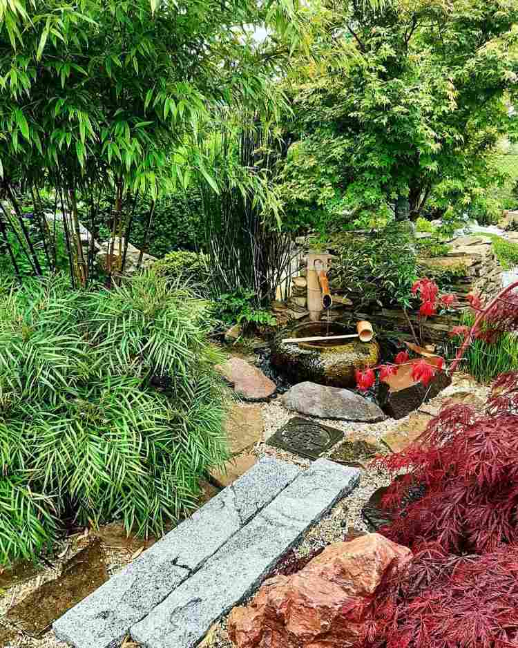 jardim japonês no outono com água de bambu e belas plantas