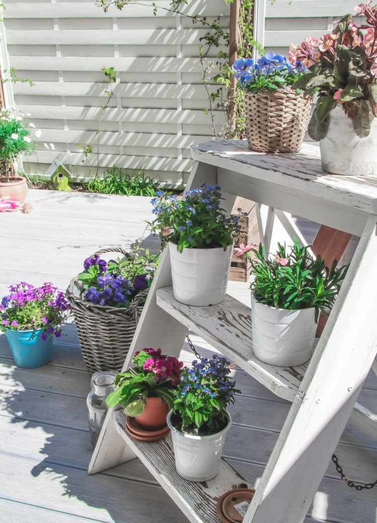 Decoração de verão do lado de fora - escada e banquinho em vez de prateleiras clássicas