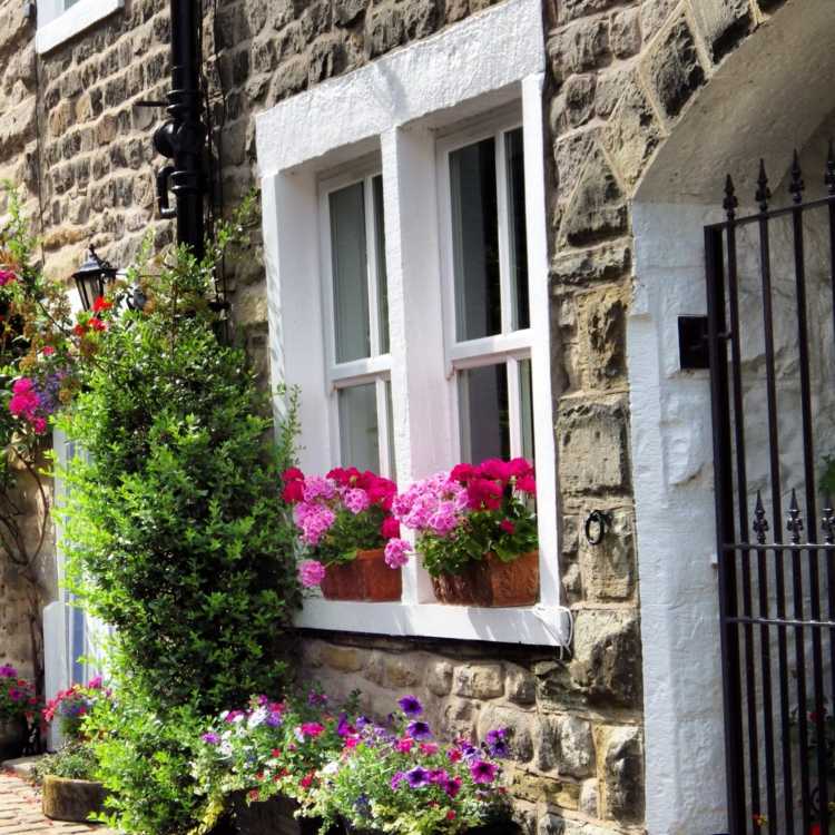 Gerânios no peitoril da janela - decoração natural na área externa