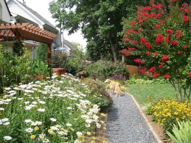 Jardim de plantio de caminho de jardim adequado para animais de estimação