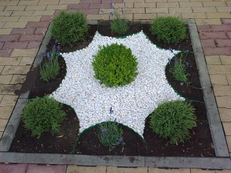 stone-bed-design-white-gravel-star-shaped-edge-coníferas