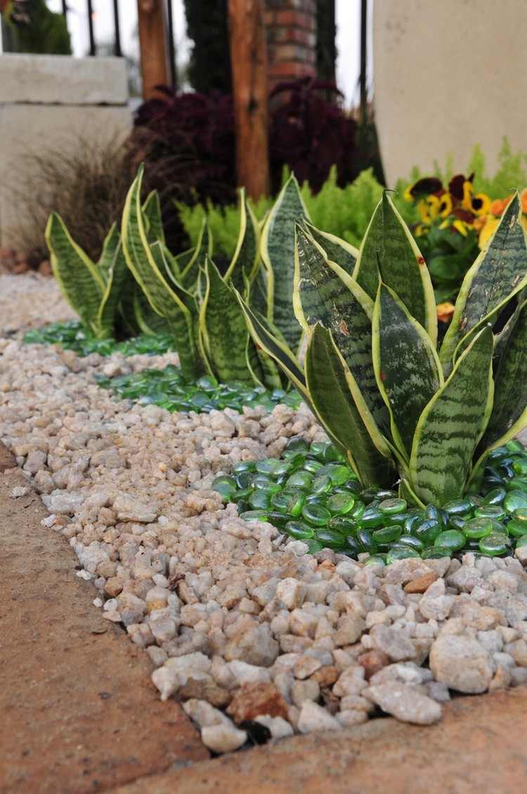 pedra-cama-projeto-arco cânhamo-sansevieria-plantas-verde-vidro-pedras