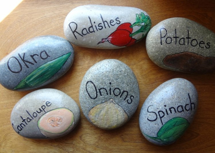pintura pedras jardim rotulagem vegetais batata espinafre cebola