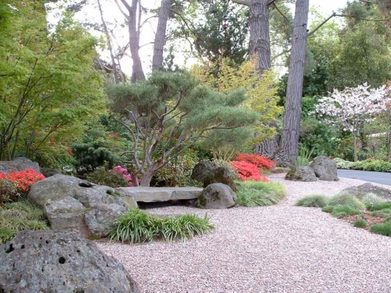 Rock garden-create-ideas-maple-trees-plants-Japanese