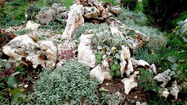 Crie um estilo de aparência natural de cobertura de solo de jardim de pedras