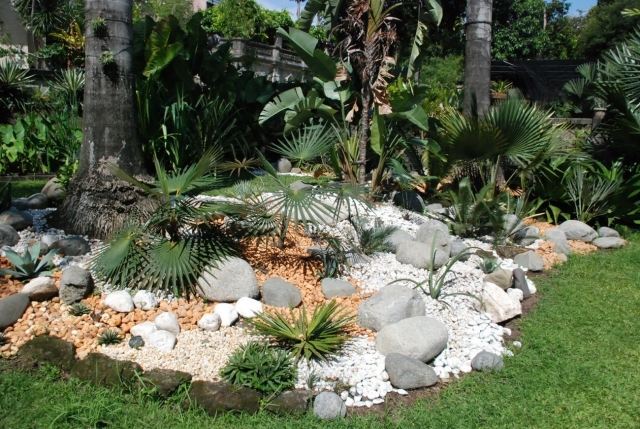 jardim de pedras palmeiras cascalho design de gramado