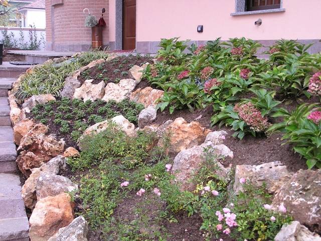 jardim de pedras encosta muro de contenção cobertura do solo planta correção do solo