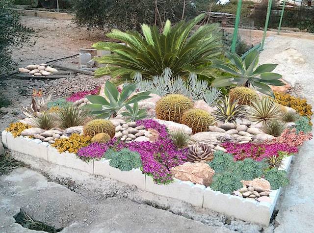 decoração de jardim de pedras cactos seixo suculentas