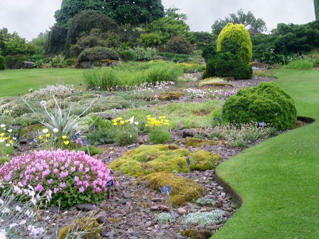 jardim de pedras plantação de cascalho cobertura de solo de violetas alpinas gramado