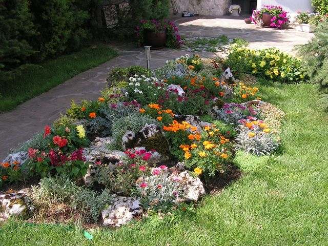 idéias de design de jardins de pedras plantas com flores perenes