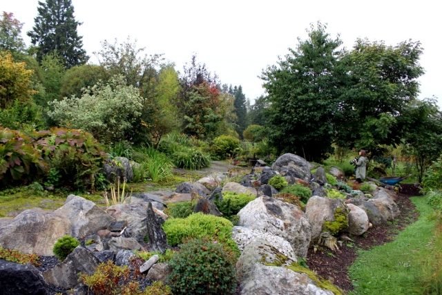 ideias de design de musgo de jardim de pedras