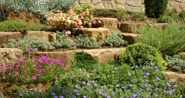 jardim declive design níveis de pedras cobertura do solo perenes