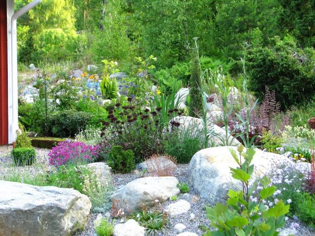 jardim desenho pedras natureza médio-alto perenes