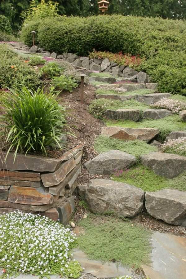 escadas de jardim de pedras, cobertura do solo, sebes, ideias de design