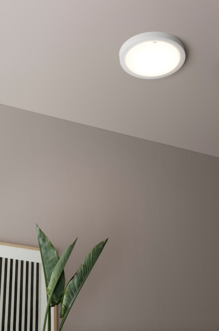 lâmpada de teto design pantone simples