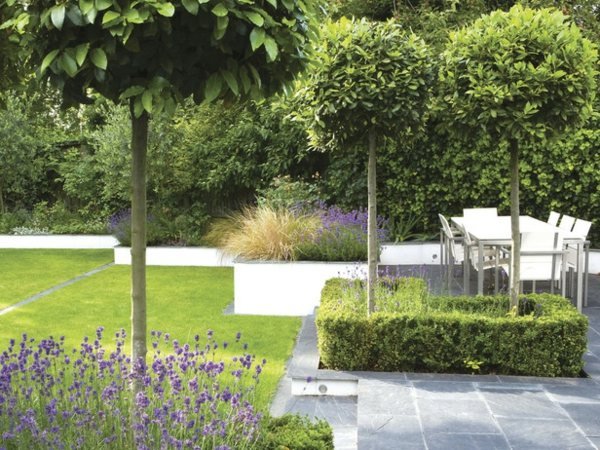 Ideia de jardim de gramado de muro de contenção de concreto