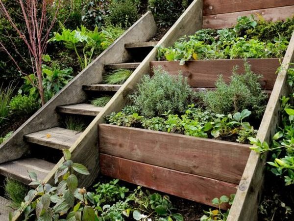 Escadas de caixa de plantador de madeira ao ar livre