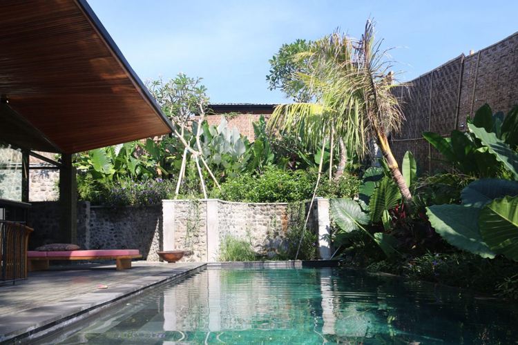 Piscina -bali-casa-palm-plantas-férias