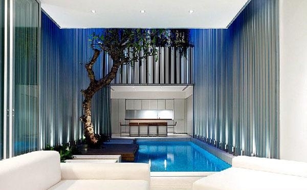piscina design pequenas idéias elegantes dicas de árvores