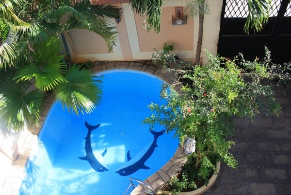 idéias de design de piscina golfinho vivo atmosfera criatividade