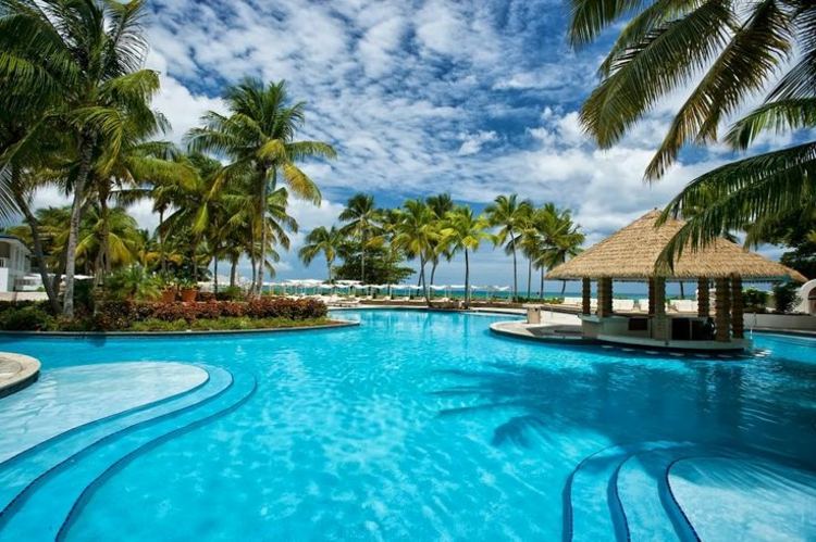 piscina aberta sob as palmeiras