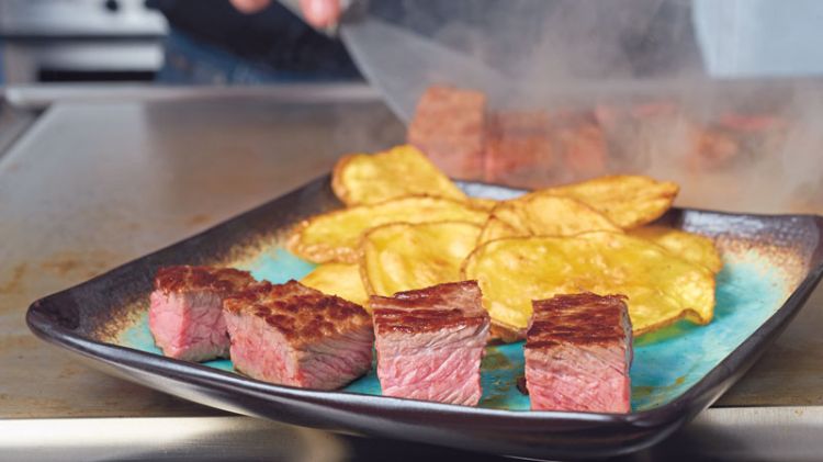 Teppanyaki grelhador