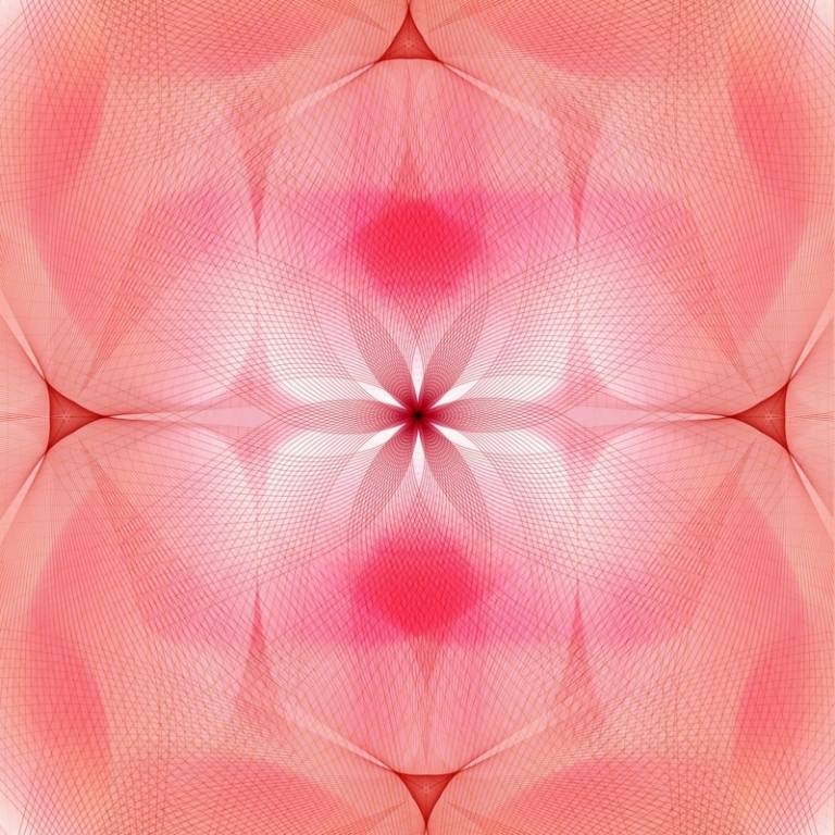 tapete-design-espiroflower-coleção-fabricante-rosa-simetria-linhas