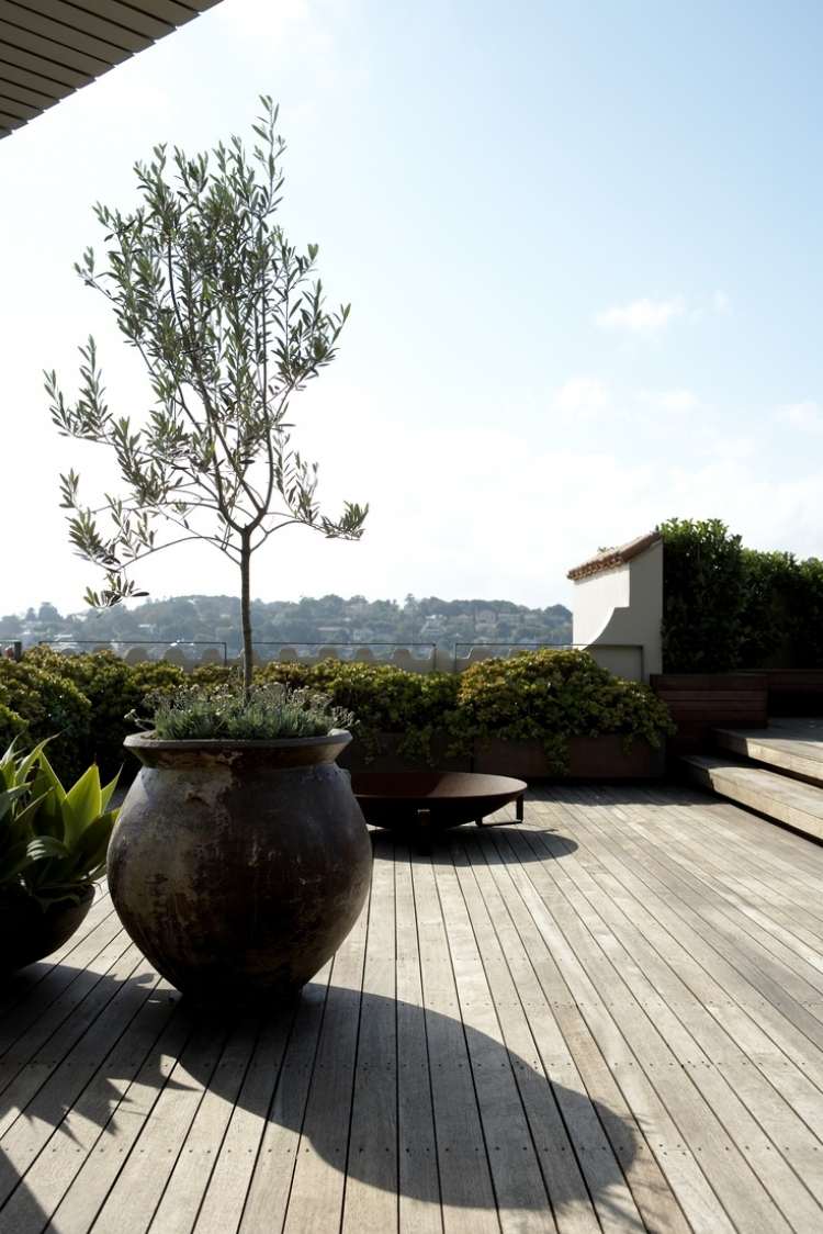 terraço-design-oliveira-telhado-terraço-plantador de piso de madeira-grande-vista