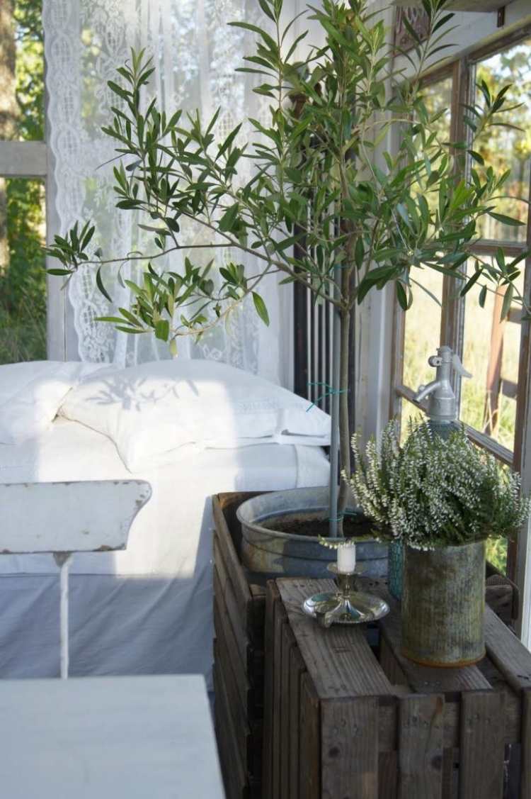 terraço-design-oliveira-janela-caixa de madeira-vintage-rústico-ao ar livre