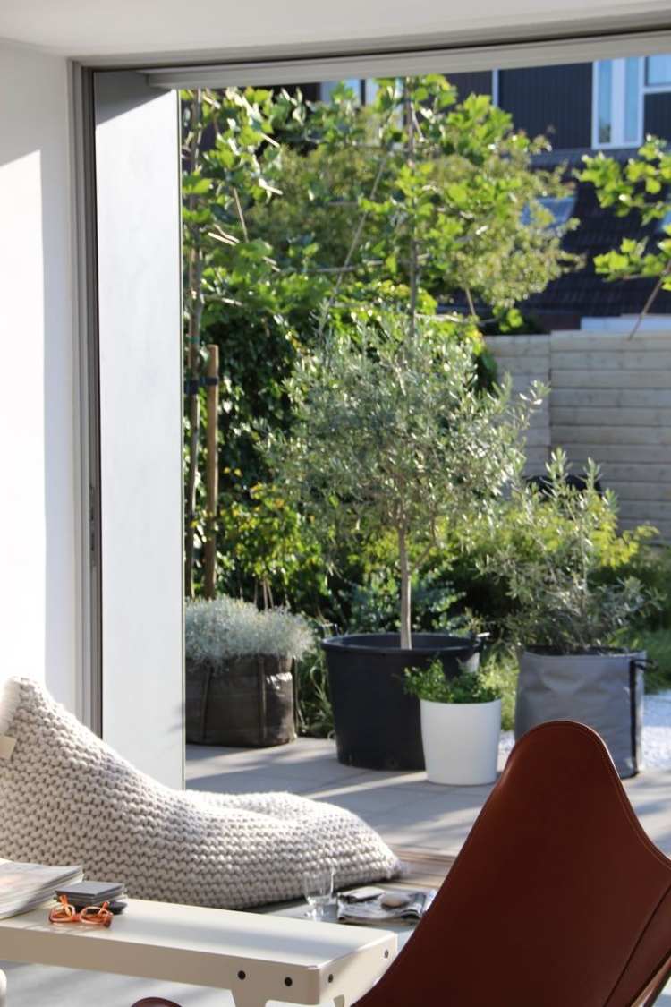 terraço-design-oliveira-terraço aberto-portas-janela-parede-moderno-descontraído