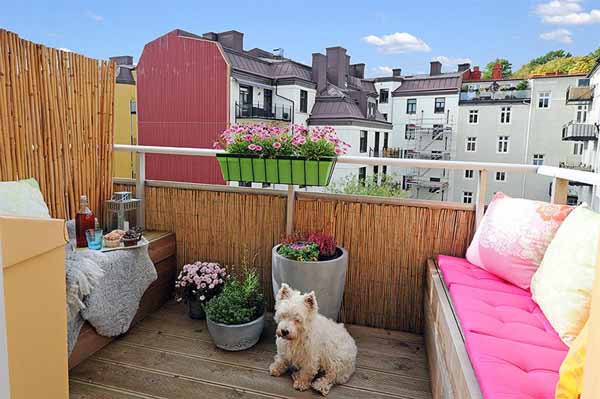 Crie um terraço-banco para cães