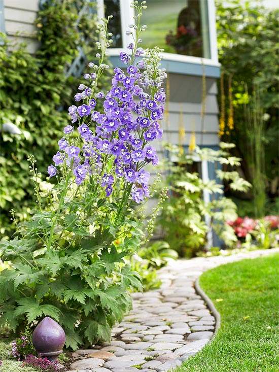 Idéias para o design moderno do jardim