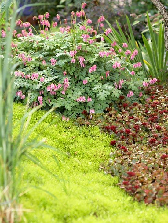 Plantando canteiros de flores para projetos de jardins