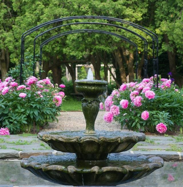 Criar estilo peônias flores rosa jardim fonte pérgula