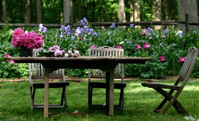 Cadeiras peônia rosa púrpura flores brancas gramado