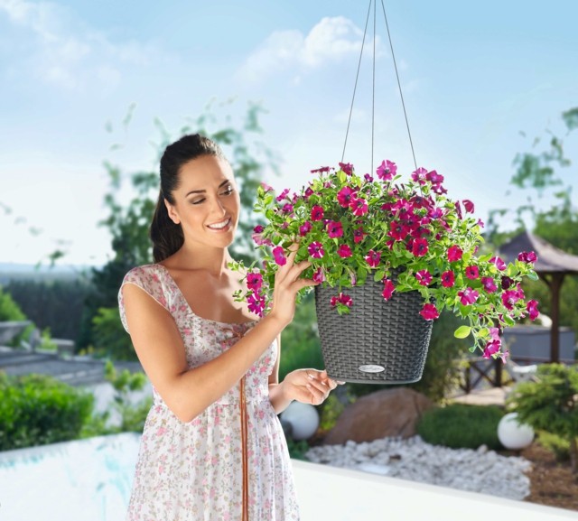 Plantas derramam água durante o sistema de férias