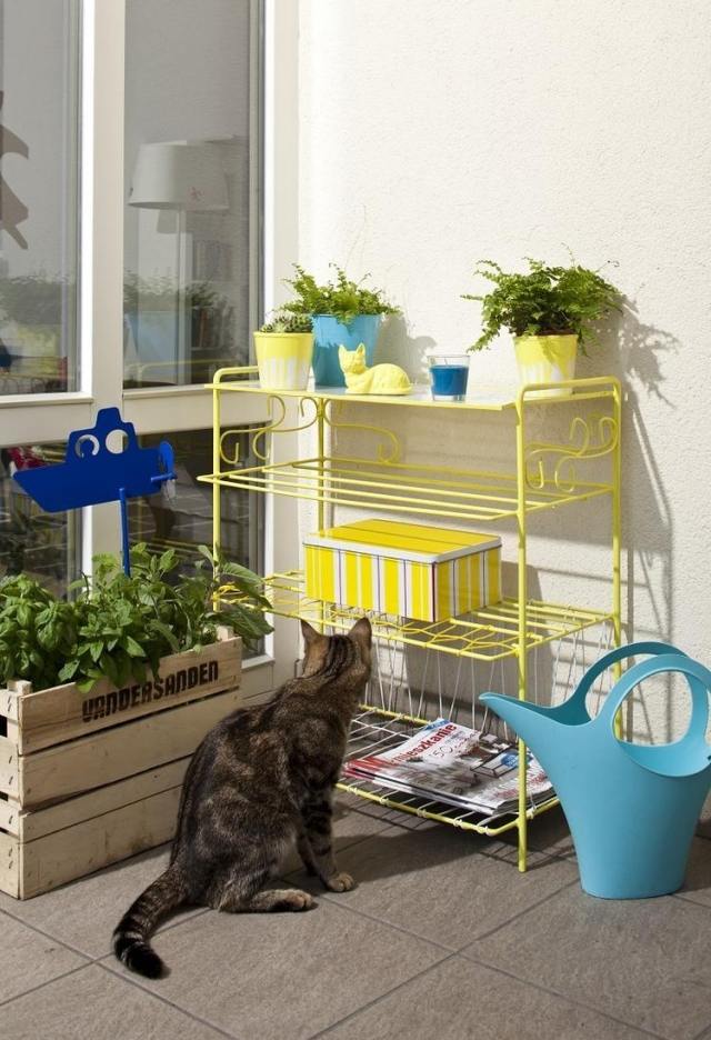 dicas-varanda-design-ervas-plantas-gato