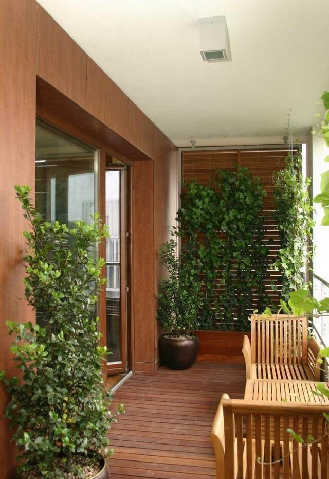dicas-varanda-design-piso de madeira-revestimento-plantas trepadeiras