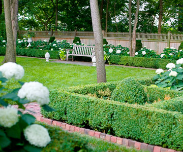 jardins formais planta layout caixa sebes hortênsias