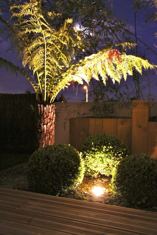 iluminação de jardim luzes led no chão bolas de buxo