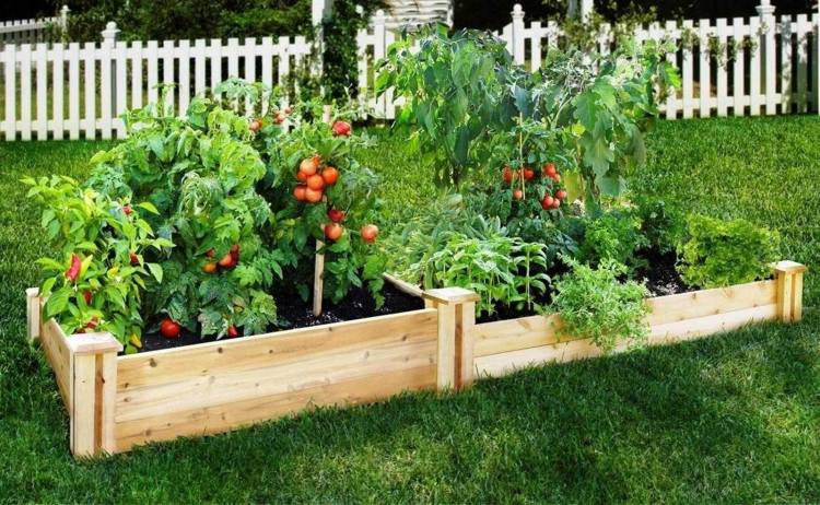 Dicas-jardim-manutenção-vegetais-jardim-cama elevada de madeira