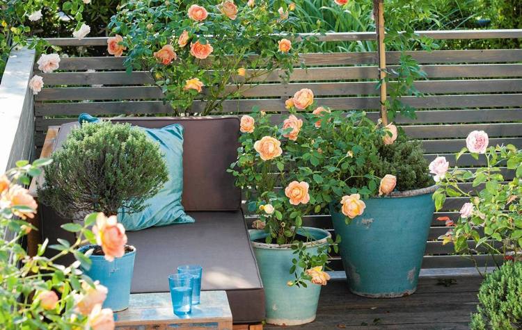 Rosas em vasos laranja flores rosa banheiras profundas varanda sofá de canto