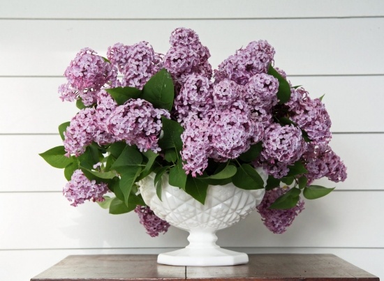 Decoração lilás decoração de mesa de primavera