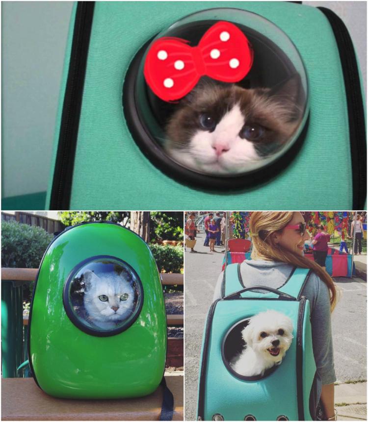 transport-bag-cats-little-dogs-descubra-o-mundo