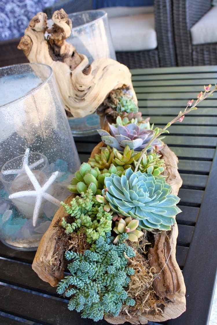 Driftwood-deco-table-suculentas-plantio