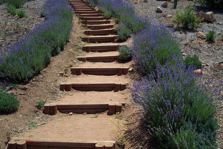 jardim em uma encosta de madeira escada de madeira piso térreo