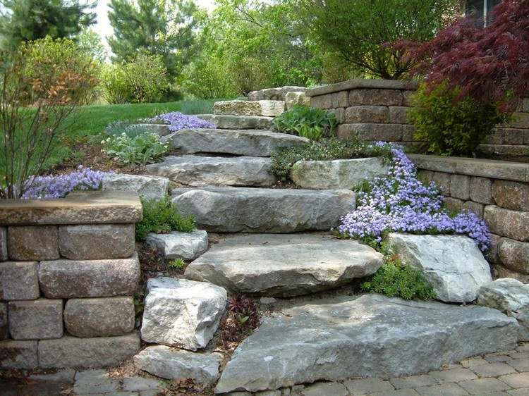escada jardim pedra cobertura do solo mancha de cor