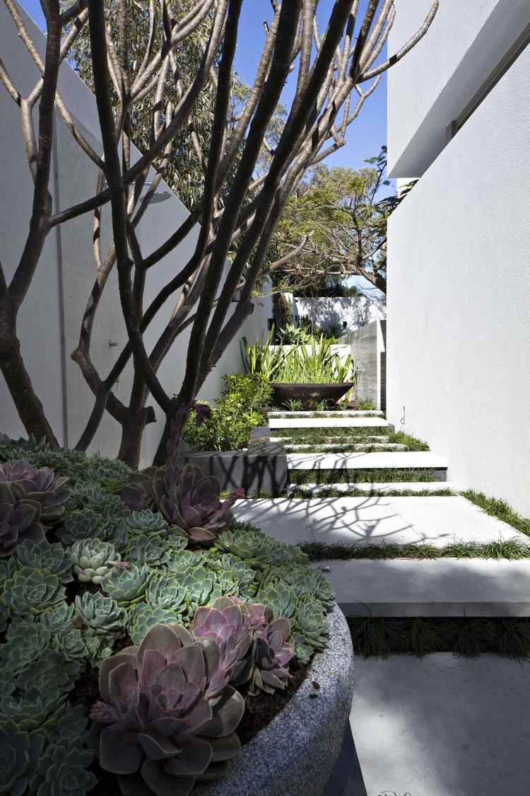 ideias modernas para escadas de jardim, piso de concreto, juntas verdes